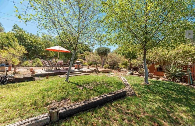 view of yard with a patio