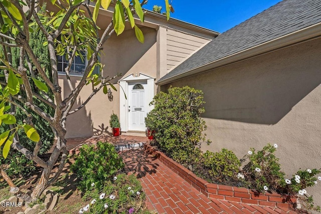 view of exterior entry with a shingled roof and stucco siding