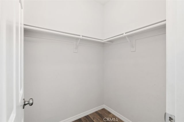 spacious closet featuring dark wood-style flooring