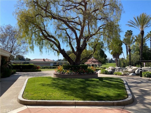 view of community with a lawn