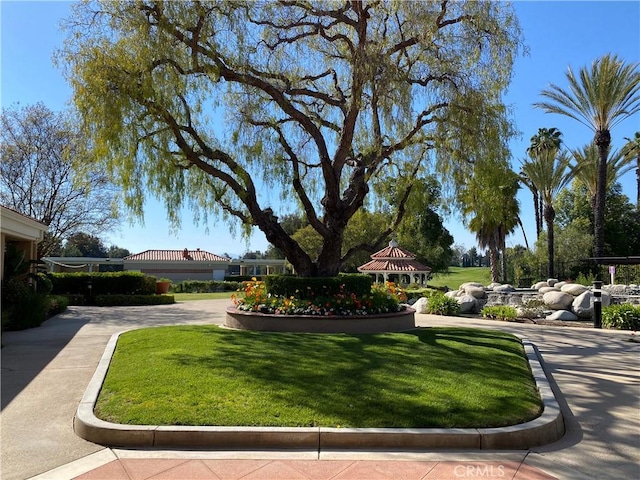 41211 Crooked Stick Dr, Temecula, CA 92591 - surrounding community featuring a lawn