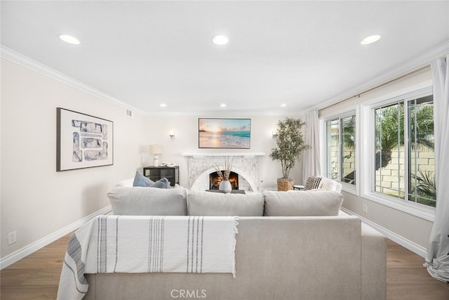 living area featuring baseboards, crown molding, a premium fireplace, and wood finished floors