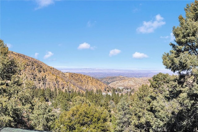 view of mountain feature with a wooded view