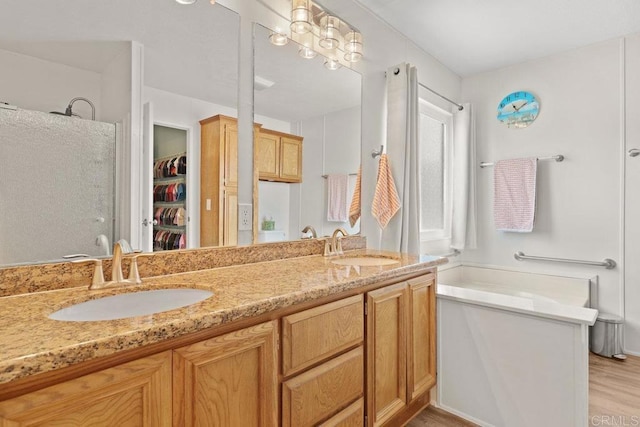 bathroom with a sink, double vanity, wood finished floors, and a spacious closet