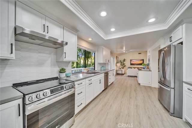 kitchen featuring a tray ceiling, stainless steel appliances, ornamental molding, a sink, and under cabinet range hood