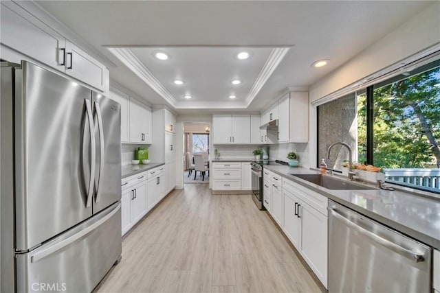 kitchen with a tray ceiling, crown molding, stainless steel appliances, white cabinets, and a sink