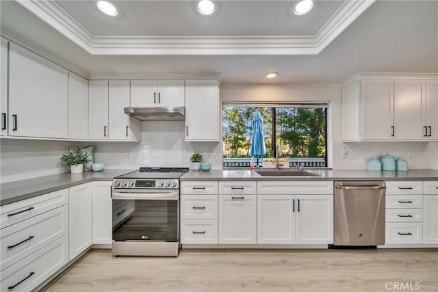 kitchen featuring appliances with stainless steel finishes, a tray ceiling, a sink, and under cabinet range hood