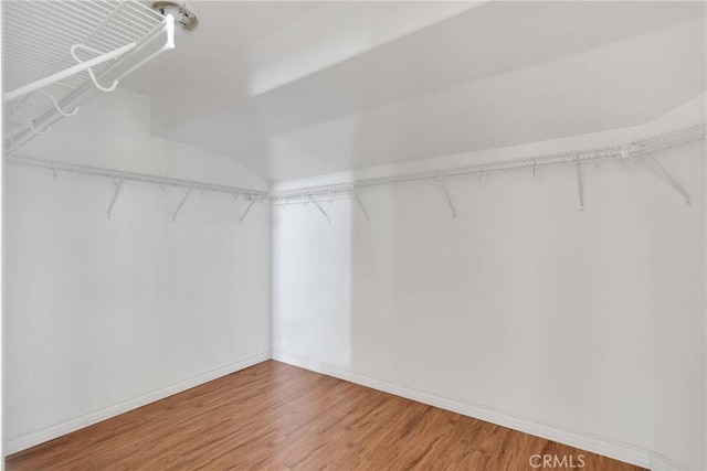 walk in closet with wood finished floors