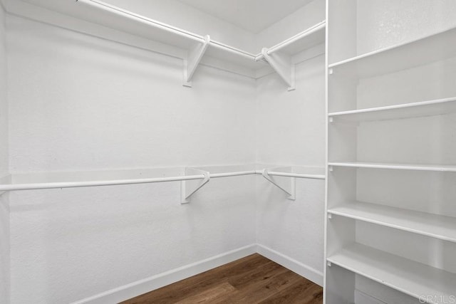 walk in closet with wood finished floors