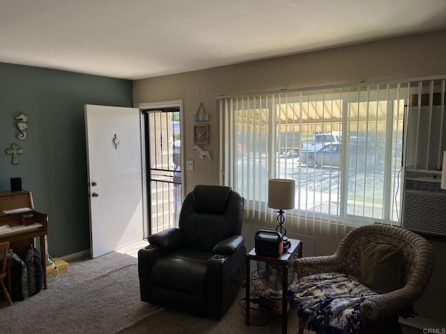 living area featuring carpet