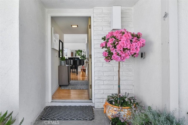 view of exterior entry featuring stucco siding