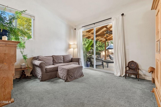 carpeted living area with a wealth of natural light