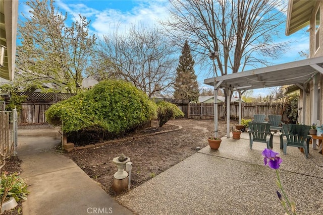 view of yard featuring a patio area and a fenced backyard