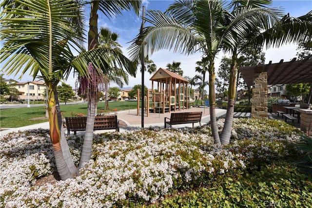 view of communal playground