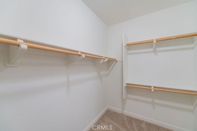 spacious closet featuring vaulted ceiling and carpet flooring