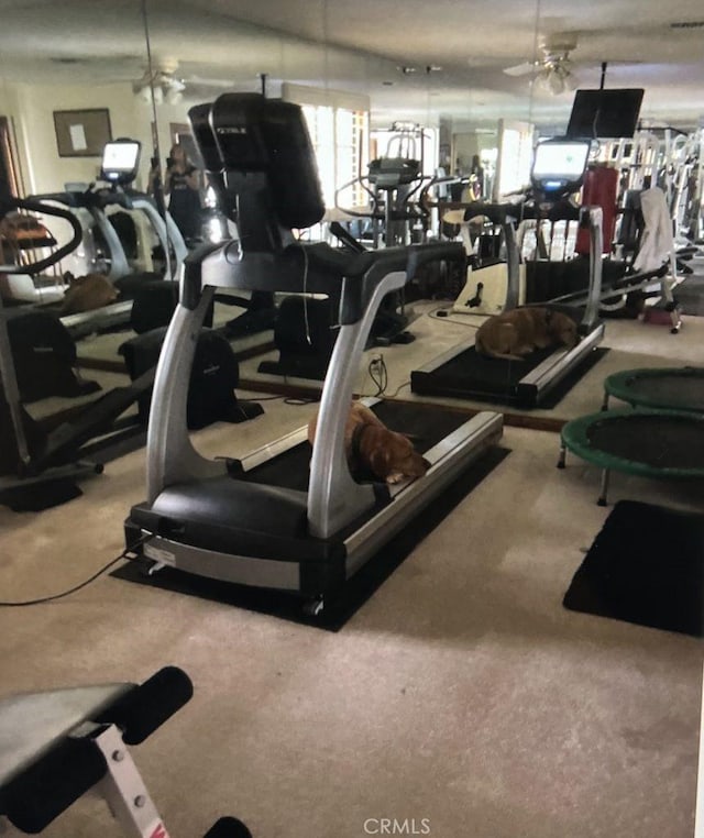 workout area with carpet floors