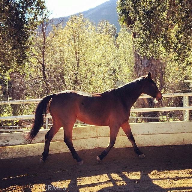 6 Bronco Ln, Bell Canyon, CA 91307 - view of stable featuring a view of trees
