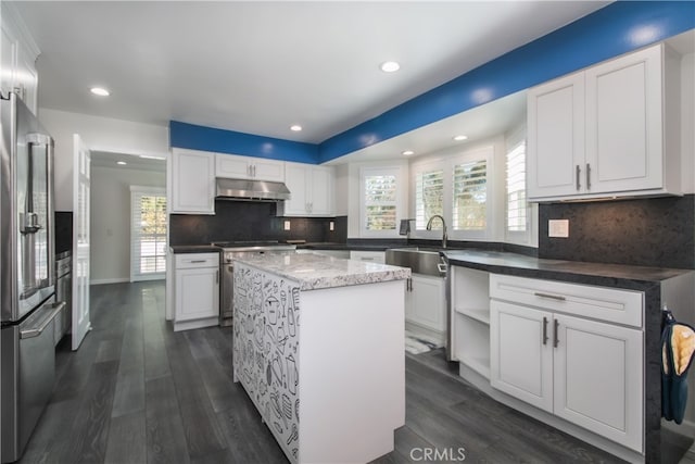 6 Bronco Ln, Bell Canyon, CA 91307 - kitchen featuring stainless steel appliances, under cabinet range hood, a kitchen island, white cabinets, and dark wood-type flooring
