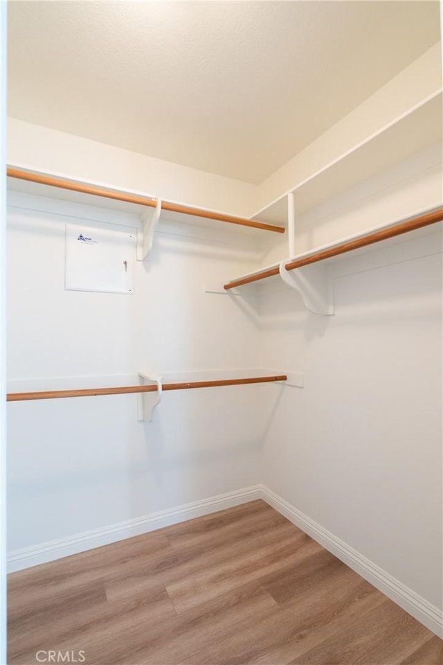 spacious closet featuring wood finished floors