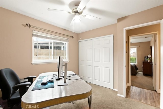 carpeted office space featuring ceiling fan and baseboards