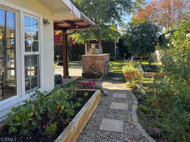 view of yard with a patio, fence, and a garden