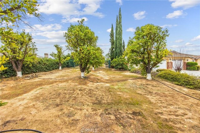 view of yard with a garage