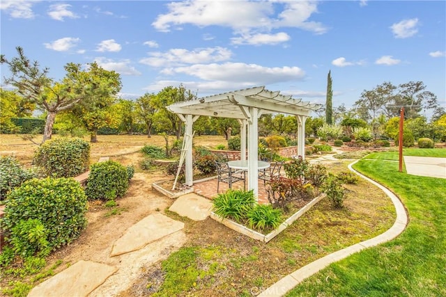 view of yard with a patio area and a pergola