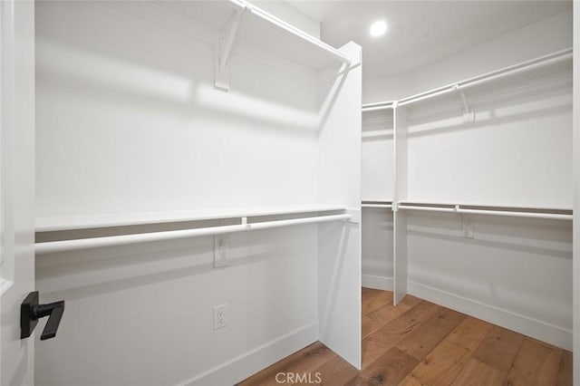 walk in closet featuring wood finished floors