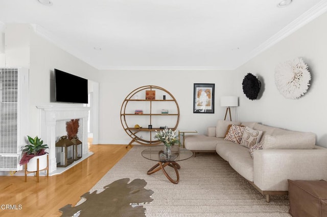 living room with ornamental molding, light wood-type flooring, and a fireplace