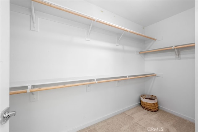 walk in closet with carpet flooring