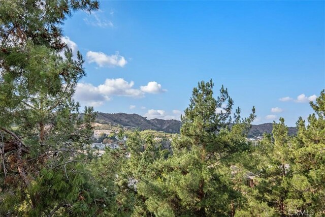 23 Bogey Ln, Coto De Caza, CA 92679 - photo 35