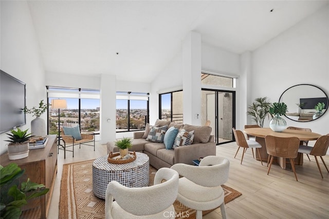 living area featuring high vaulted ceiling, light wood-type flooring, and plenty of natural light