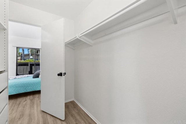 spacious closet featuring light wood-style flooring