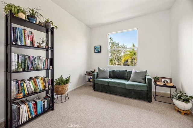 sitting room featuring carpet floors and baseboards