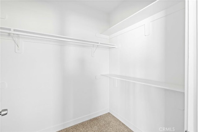 walk in closet featuring carpet