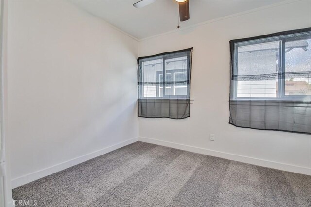 unfurnished room with crown molding, carpet, a wealth of natural light, and baseboards