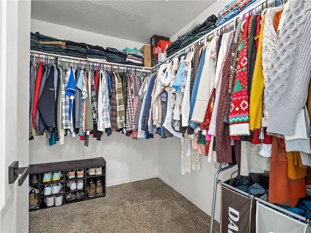 spacious closet featuring carpet flooring