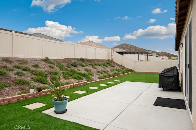 view of yard featuring a fenced backyard and a patio