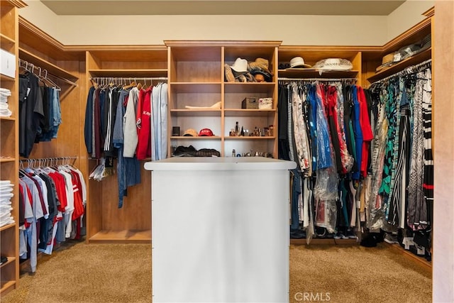 spacious closet with carpet flooring