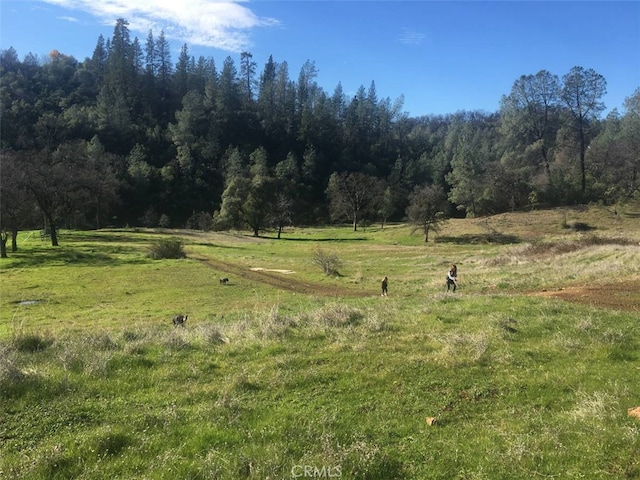 0 Backbone Rd, Bella Vista CA, 96008 land for sale