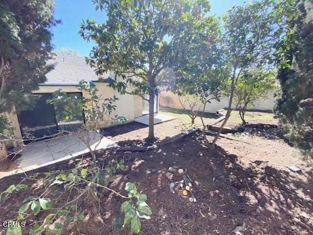 view of yard featuring a patio area