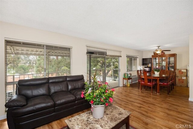 living room with a ceiling fan, wood finished floors, and a textured ceiling