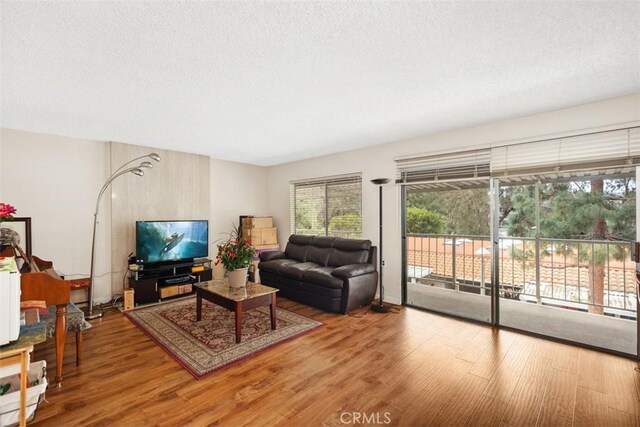 living room with wood finished floors and a textured ceiling