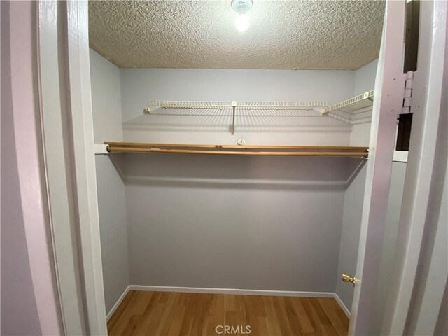 walk in closet featuring wood finished floors