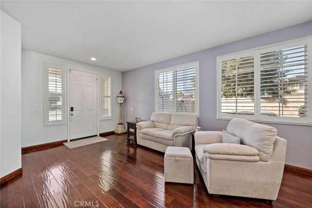 living area featuring dark wood-style floors, plenty of natural light, and baseboards