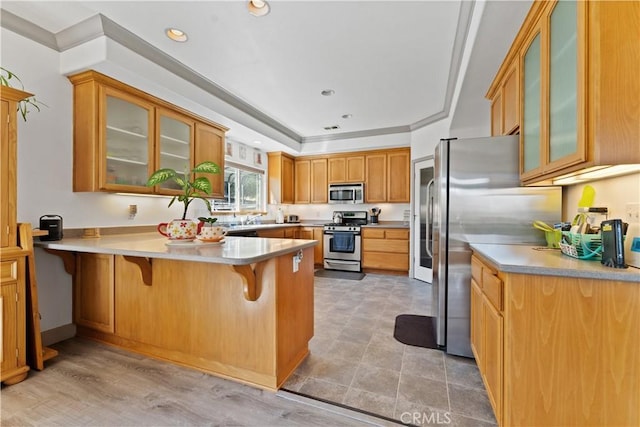 kitchen with appliances with stainless steel finishes, a breakfast bar, light countertops, and a peninsula