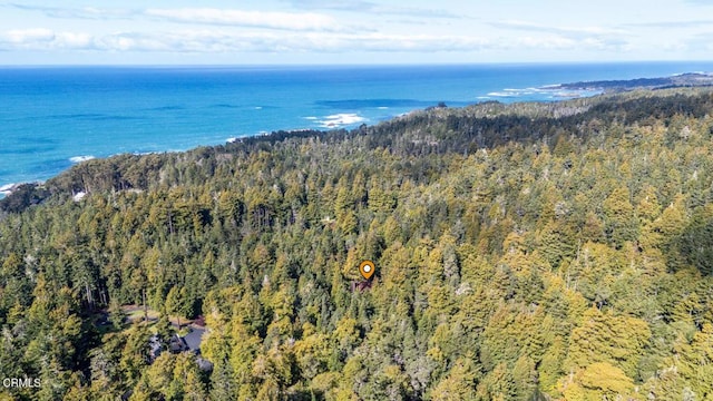 birds eye view of property featuring a view of trees and a water view