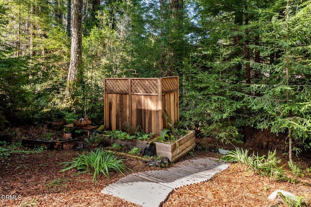 view of yard with a forest view and a vegetable garden