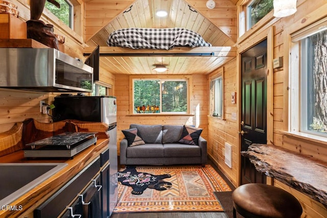 living area with wooden walls and wooden ceiling