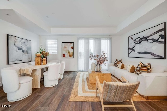 living room featuring wood finished floors and a raised ceiling